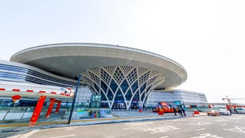 新春走基層丨守護(hù) 生命之樹 的 明星 團(tuán)隊(duì)