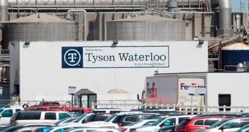 美國食品或面臨斷供危機 多家肉類加工廠關閉 近千人確診