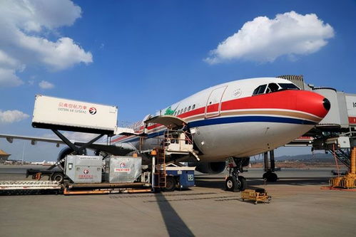 美國出口韓國的貨物,為啥非要來上海晃一圈 如意算盤打得太響