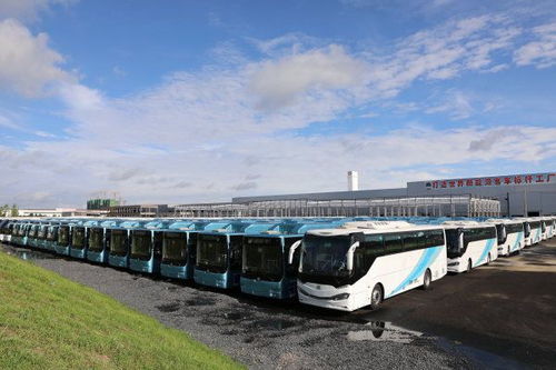 湖南省重點項目巡禮28 常德中車 打造世界新能源客車標桿工廠