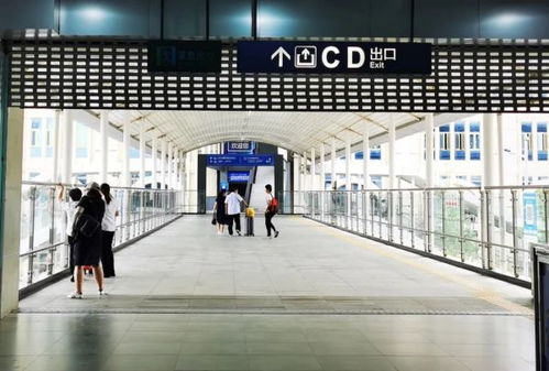 7月起,武漢這個客運站關(guān)停,新的坐車方式都為你打探好了