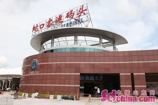 深圳蛇口客運碼頭 港澳非國內 標識用詞不嚴謹